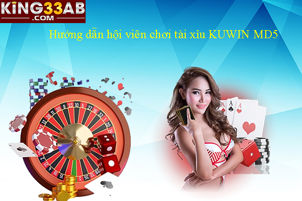 Hướng dẫn hội viên chơi tài xỉu KUWIN MD5